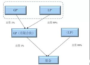 在基金的核算角度，gp和lp的投资金额应该分别怎样核算