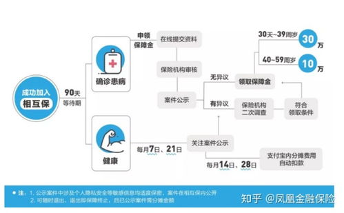 汽车保险在支付宝哪里查询,哪里可以查车险报价