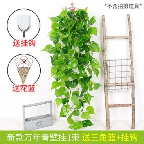 仿真绿萝壁挂植物假绿叶吊兰客厅装饰遮挡物挂墙绿植假花藤条吊篮