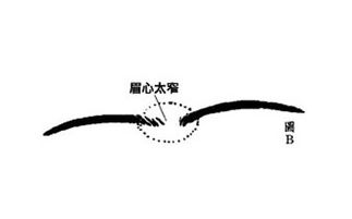 眉型看相 揭6类眉型暴力倾向的人