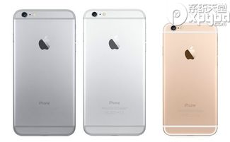 iPhone6和 iPhone6 plus的区别是什么？