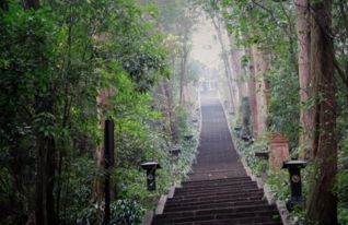 成都周边冷门美景 云海悬崖 千年古村 仙风道骨........