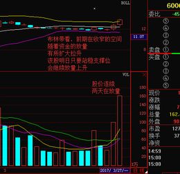 轻指数重个股的行情更需要理性去操作