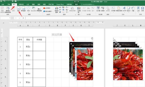 怎样在Excel中插入多张图片并快速对其排好