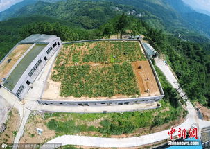 浙江温州永嘉北城街道