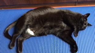 躺在瑜伽垫上睡着了