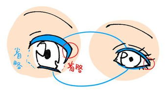 仅此一招 教你搞定日漫人物眼睛画法 